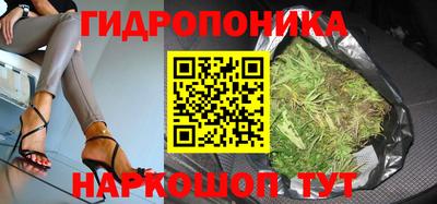 спайс Шелехов