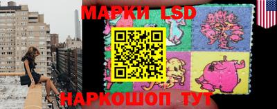 крисы Шахты
