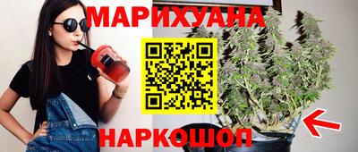 крисы Шахты