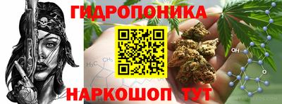 спайс Шелехов