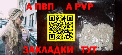 крисы Шахты