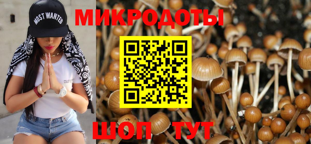 Псилоцибиновые грибы ЛСД  Псилоцибиновые грибы прущие грибы  Вход с VPN  Керчь 